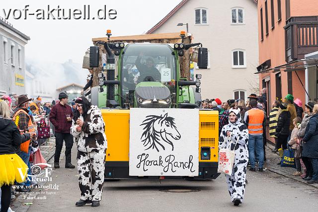 Foto Laudi_faschingszug_pleinting-107.jpg